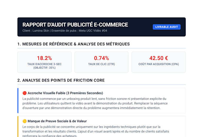audit your ecommerce ads and provide ad strategy